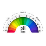 The Importance of pH in the Human Body